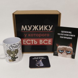 Подарочный бокс «Мужику, у которого все есть» Mini